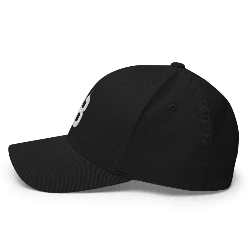 Black - Flexfit