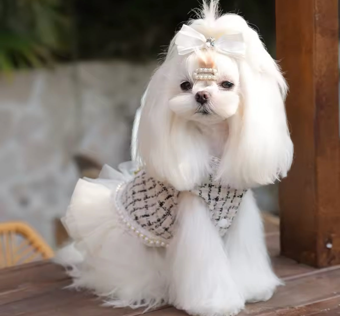Coco Chewnel Dress – Luxury Tweed Dog Dress - Shopthatapp.ca