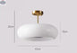 Creative Minimalist Bag LED Persimmon Balcony Aisle Ceiling Light   Dining-room Lamp - Shopthatapp.ca