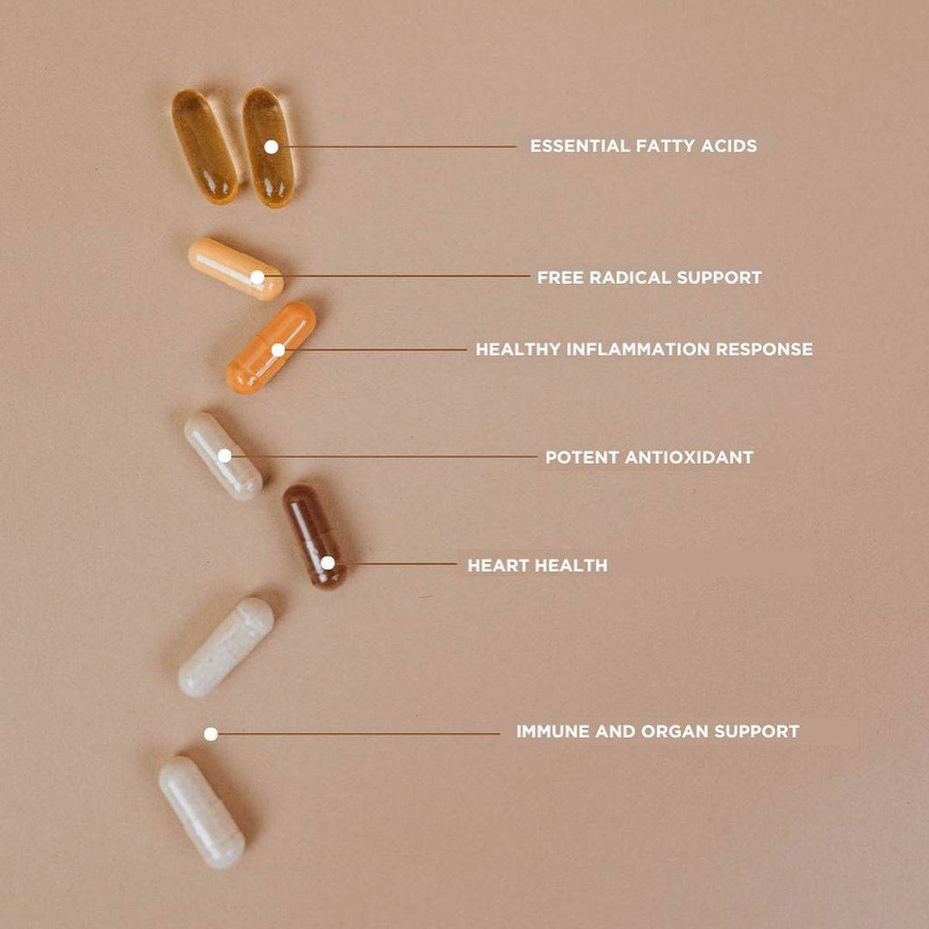 Revive Essential Vitamin Pack - Www.Shopthatapp.ca