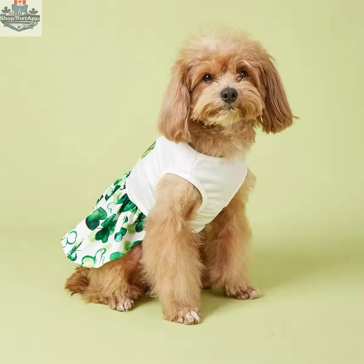 It’s Your Lucky Day Dress – Charming Saint Patrick's Day Dog Dress - Shopthatapp.ca