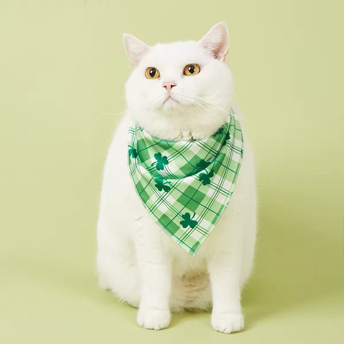 Saint Patrick’s Day Dog Bandana – Festive Holiday Pet Accessory - Shopthatapp.ca