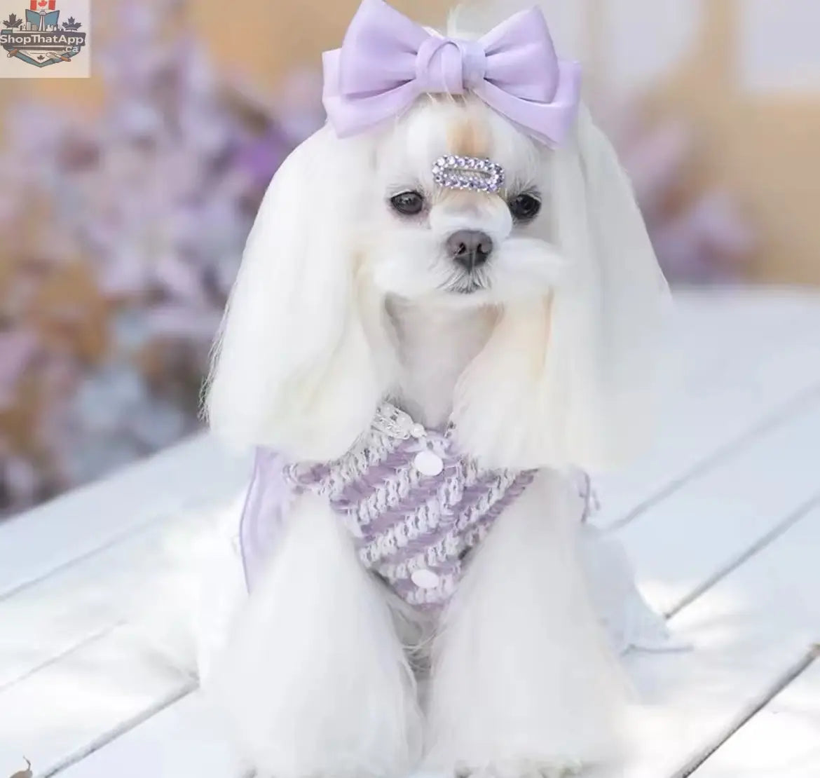 Lavender Dream Dress – Luxury Dog Dress - Shopthatapp.ca
