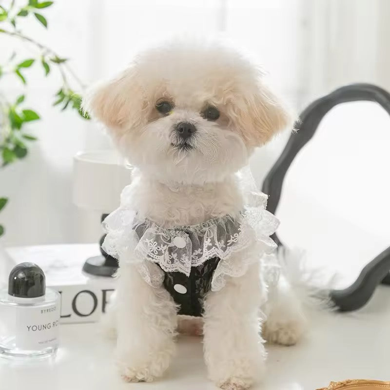 Sabrina Dress for Dogs – Elegant Lace Dog Dress - Shopthatapp.ca