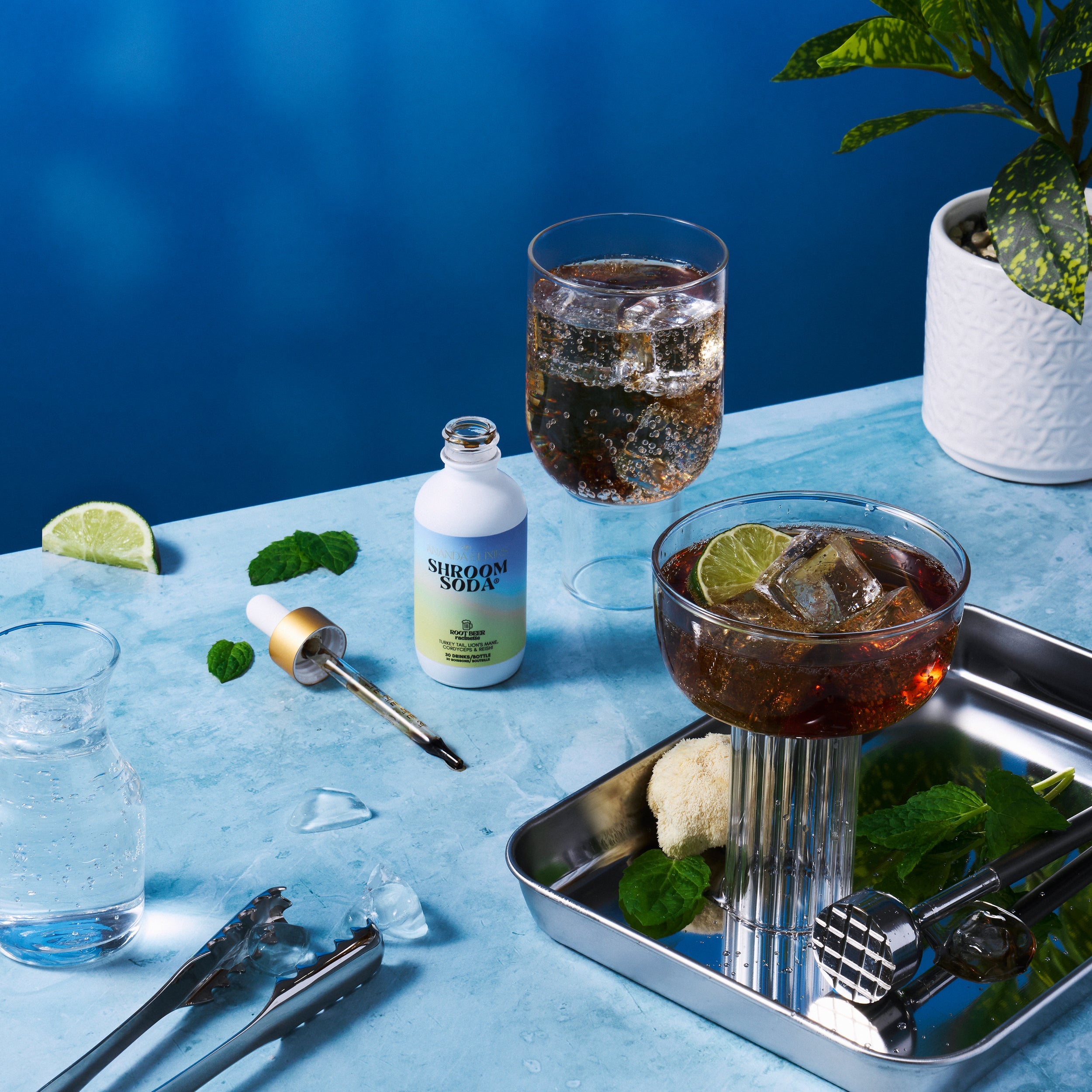 Shroom Soda® - Shopthatapp.ca