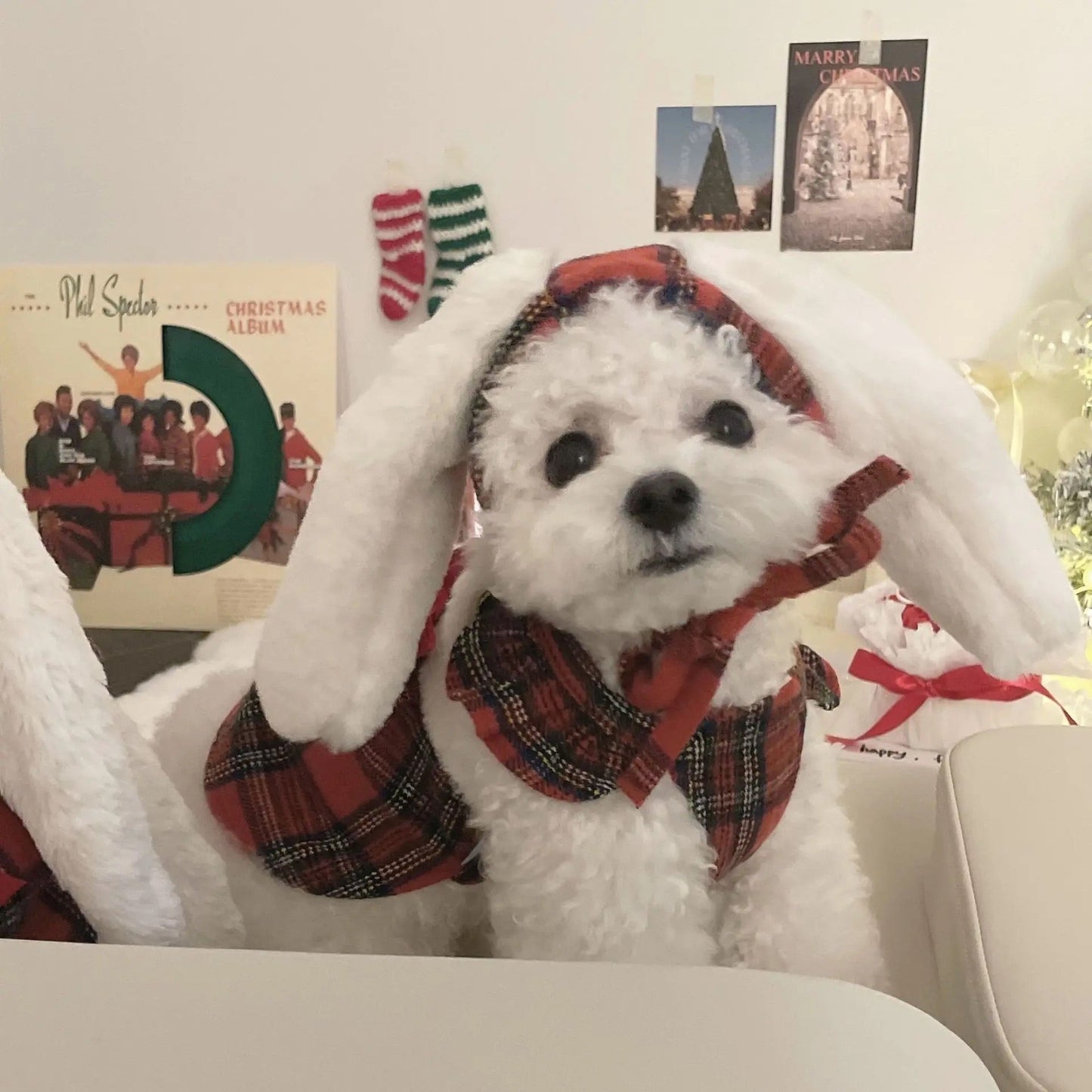 Winter Dog Dress with Hat - Red Plaid Bunny Dress for Dogs - Shopthatapp.ca
