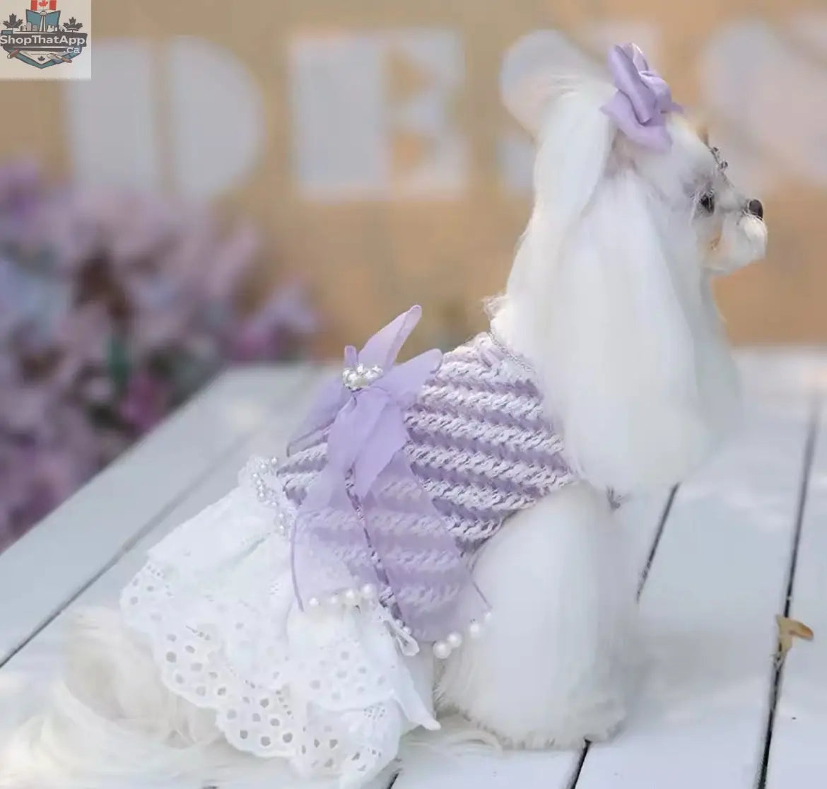 Lavender Dream Dress – Luxury Dog Dress - Shopthatapp.ca
