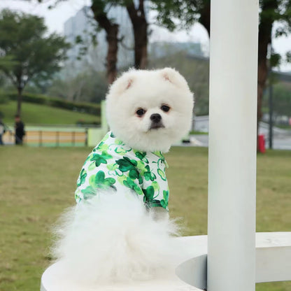 Saint Patrick's Day Dog Shirt - Adorable Festive Holiday Pet Tee for Your Furry Friend - Shopthatapp.ca