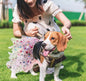 Princess Doggy Tutu - Luxury Tulle Dress for Dogs | Perfect Princess Dog Tutu Dress - Shopthatapp.ca
