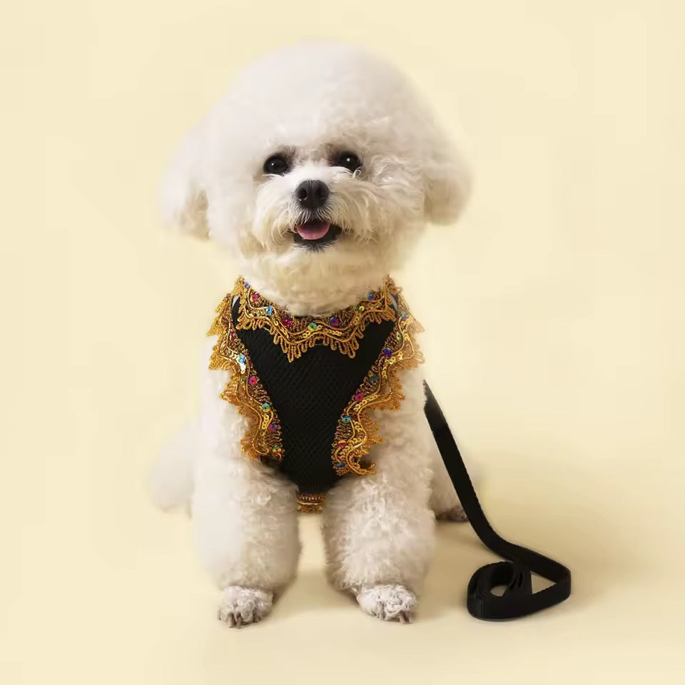 Crystal Lace Luxury Dog Harness and Leash Set – Designer Pet Wear - Shopthatapp.ca