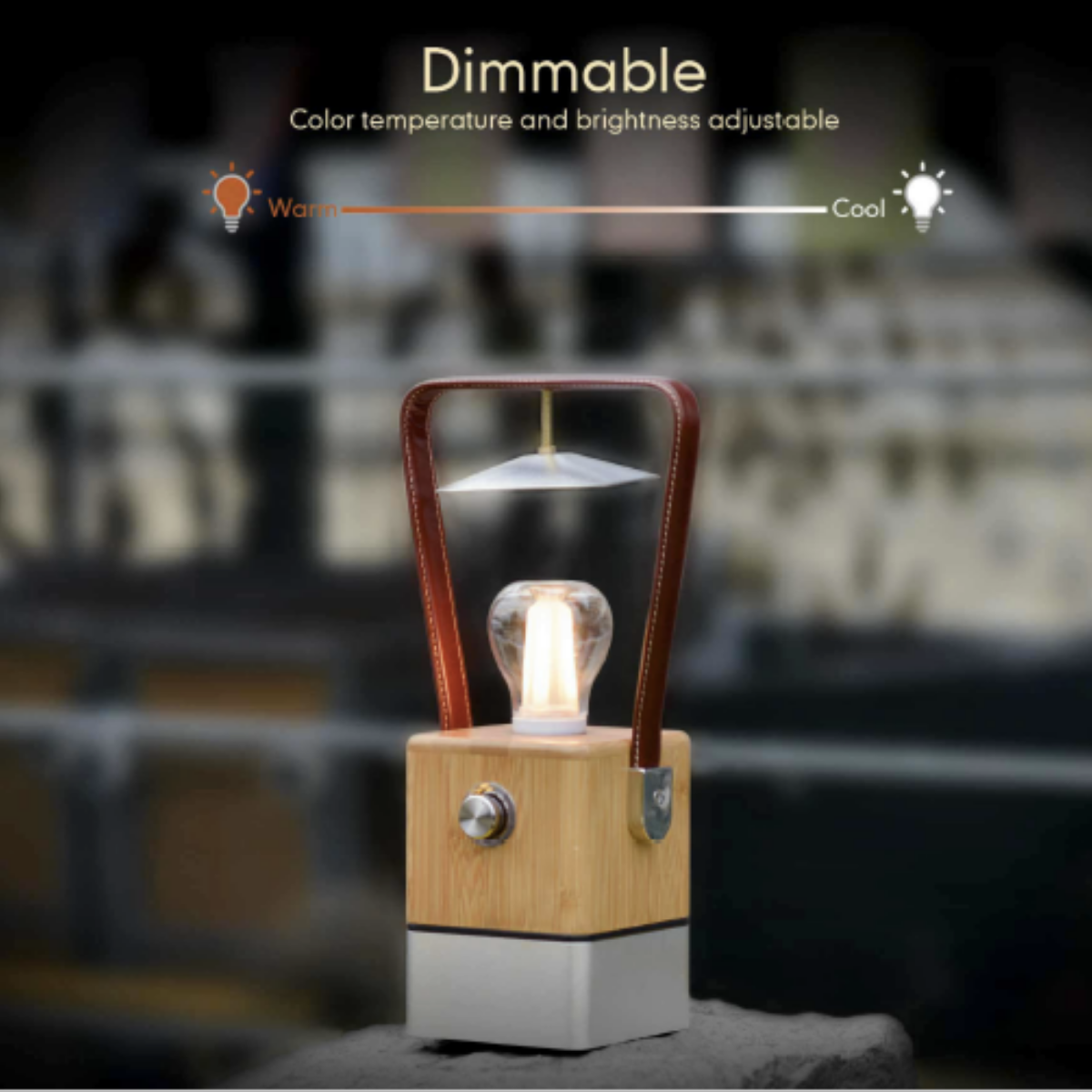 TRU De-LIGHT VIENNA LED, Dimmable Desk Lamp - Lamp / Power Bank / Decoration All-In-One - Www.Shopthatapp.ca