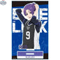 Blue Lock anime acrylic stand featuring vibrant character design from Doki Doki Land, perfect for collectible display.