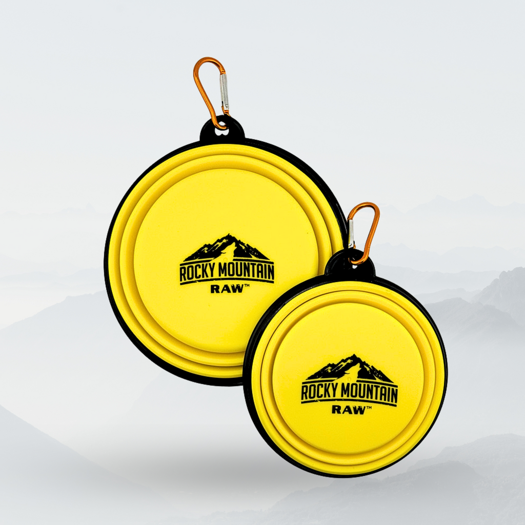 YELLOW Foldable Dog Bowl - Www.Shopthatapp.ca