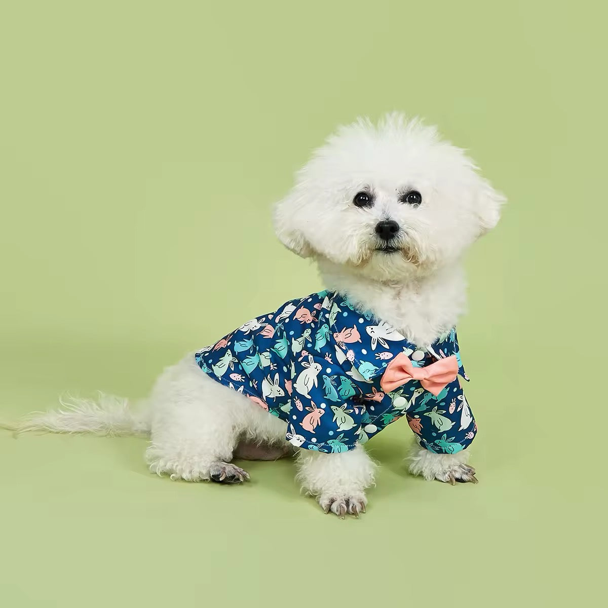 Easter Bunny Dog Shirt – Stylish Festive Luxury Shirt for Dogs - Shopthatapp.ca