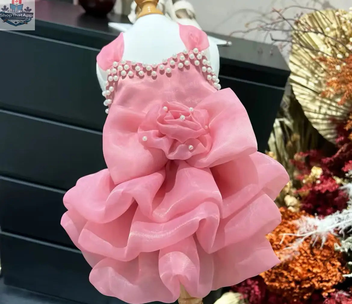 Jannette Dress – Pearl-Embellished Luxury Dog Dress - Shopthatapp.ca