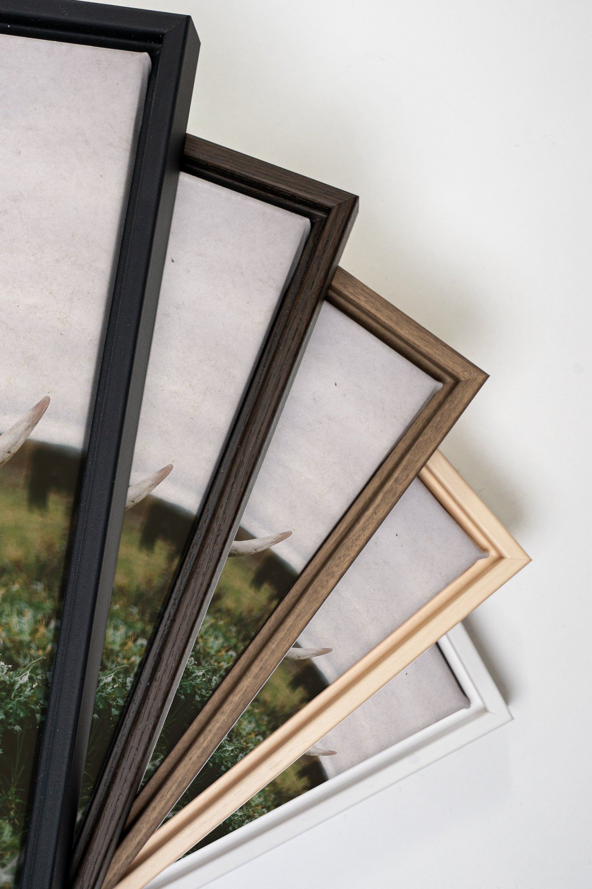 ROOTED SPIRIT Art - Oeuvre sur toile étirée - Shopthatapp.ca
