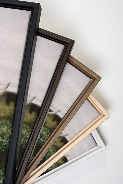 ROOTED SPIRIT Art - Oeuvre sur toile étirée - Shopthatapp.ca