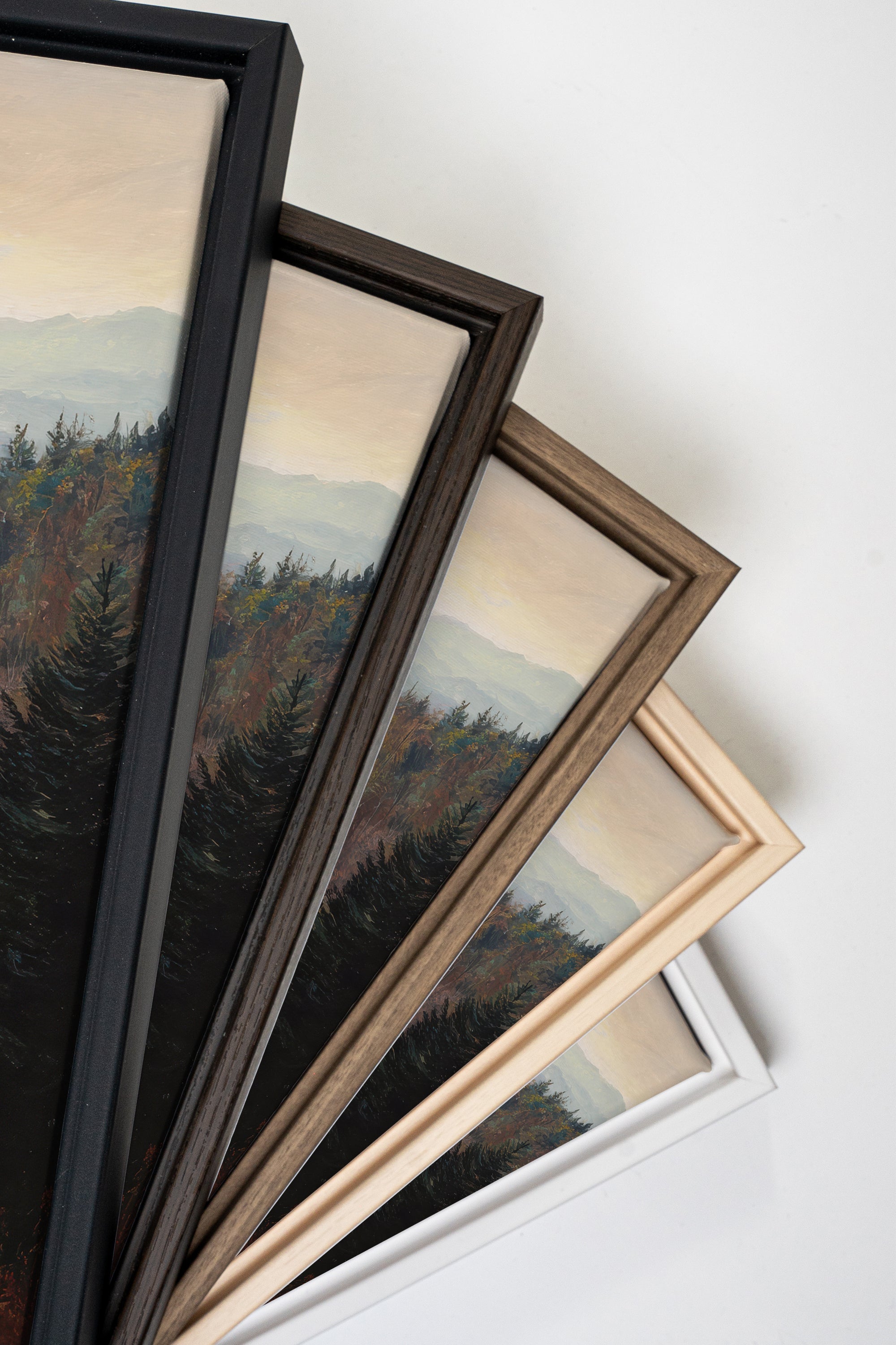 MOUNTAIN MORNING II Stretched Canvas Artwork