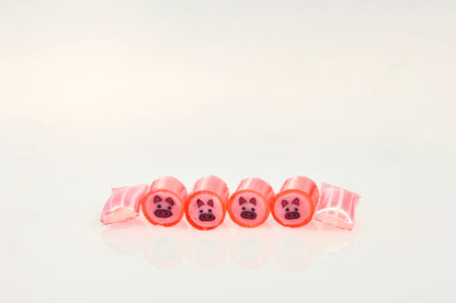 Candylabs Pig Cherry Hard Candy – 30g Test Tube-30g test tube-www.Shopthatapp.ca-Candylabs