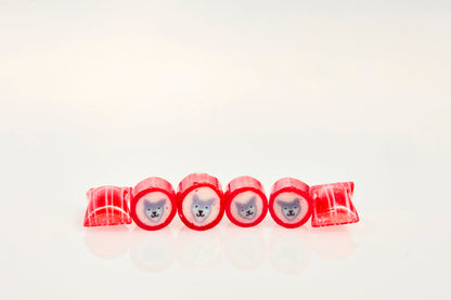 Candylabs Wolf Watermelon Hard Candy – 30g Test Tube-30g test tube-www.Shopthatapp.ca-Candylabs