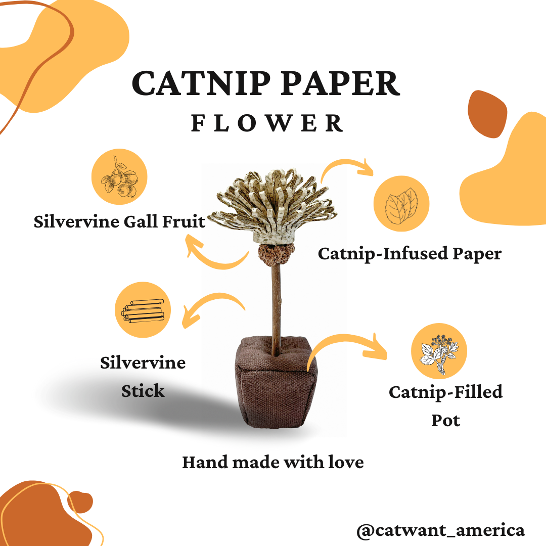 Silvervine Birthday Cake Catnip Flower Toy for Feline Festivities - Shopthatapp.ca