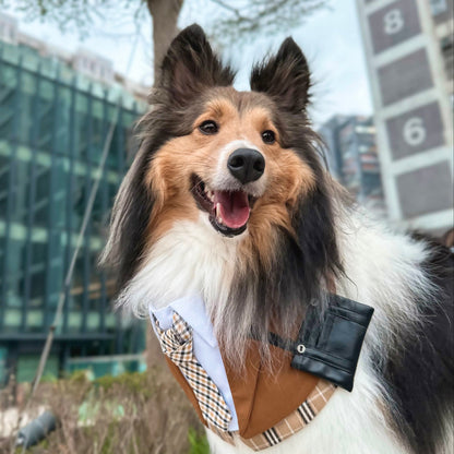 Morrison Hill  · Boys | Pet Bib