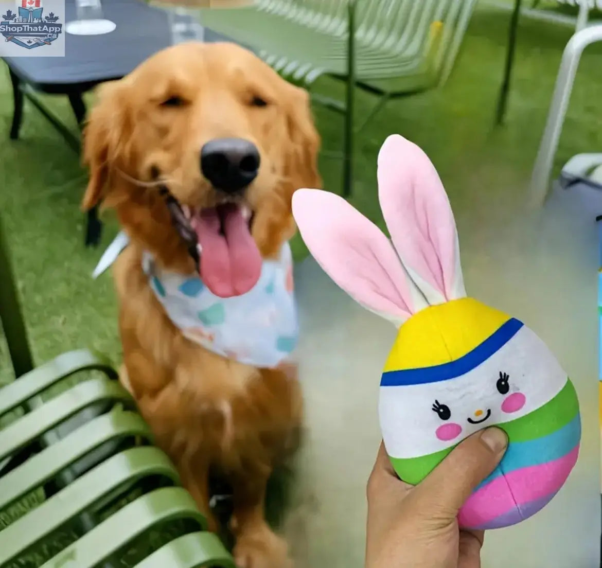 Easter Egg Plush Dog Toy – Plush Bunny Ear Dog Toy for Playful Pups - Shopthatapp.ca