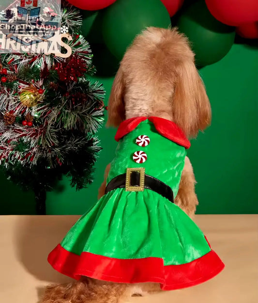 Christmas Dog Dress – Festive Holiday Dress for Dogs - Shopthatapp.ca