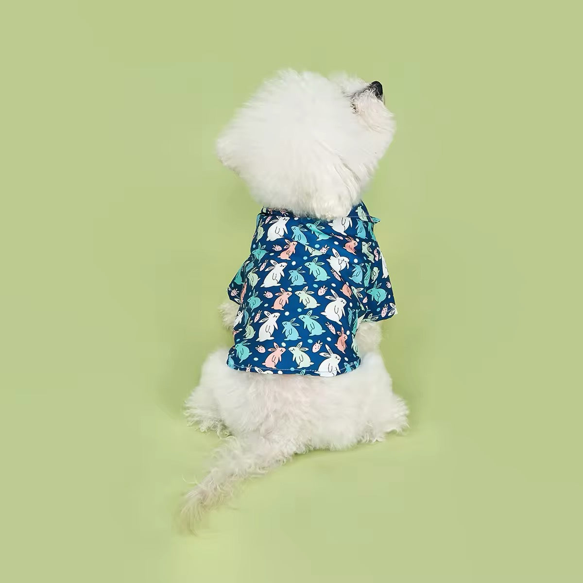 Easter Bunny Dog Shirt – Stylish Festive Luxury Shirt for Dogs - Shopthatapp.ca
