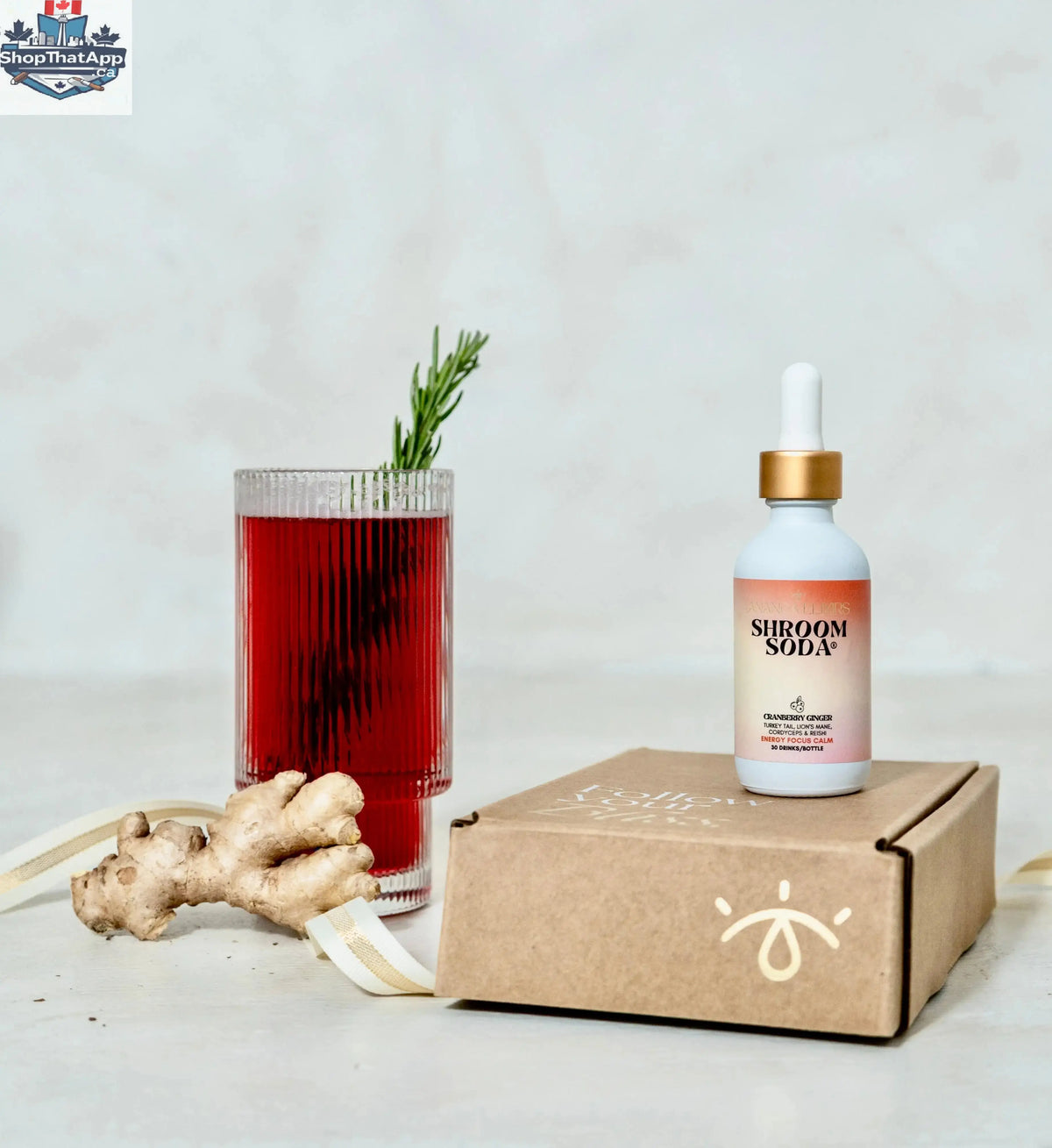 Ananda Elixirs Shroom Soda® tincture bottle with label, featuring a natural herbal design and dropper cap for dosage.