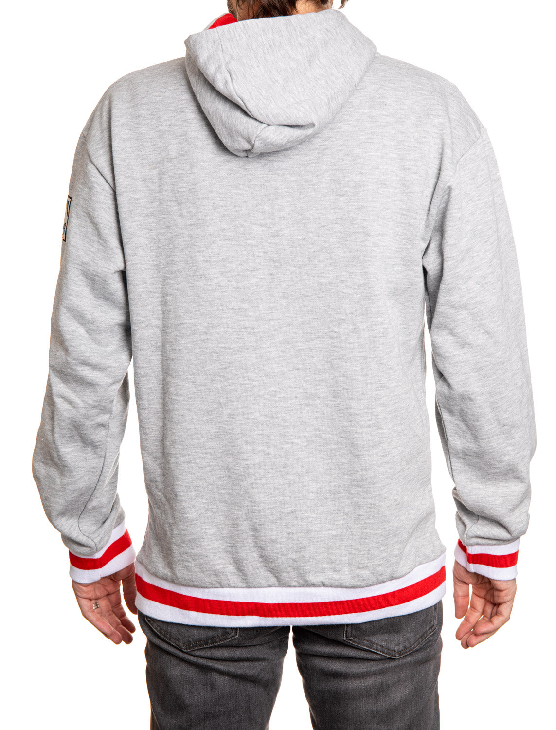 Detroit Red Wings "Muskoka Style" Premium Chenille Woven Logo Hoodie - Shopthatapp.ca