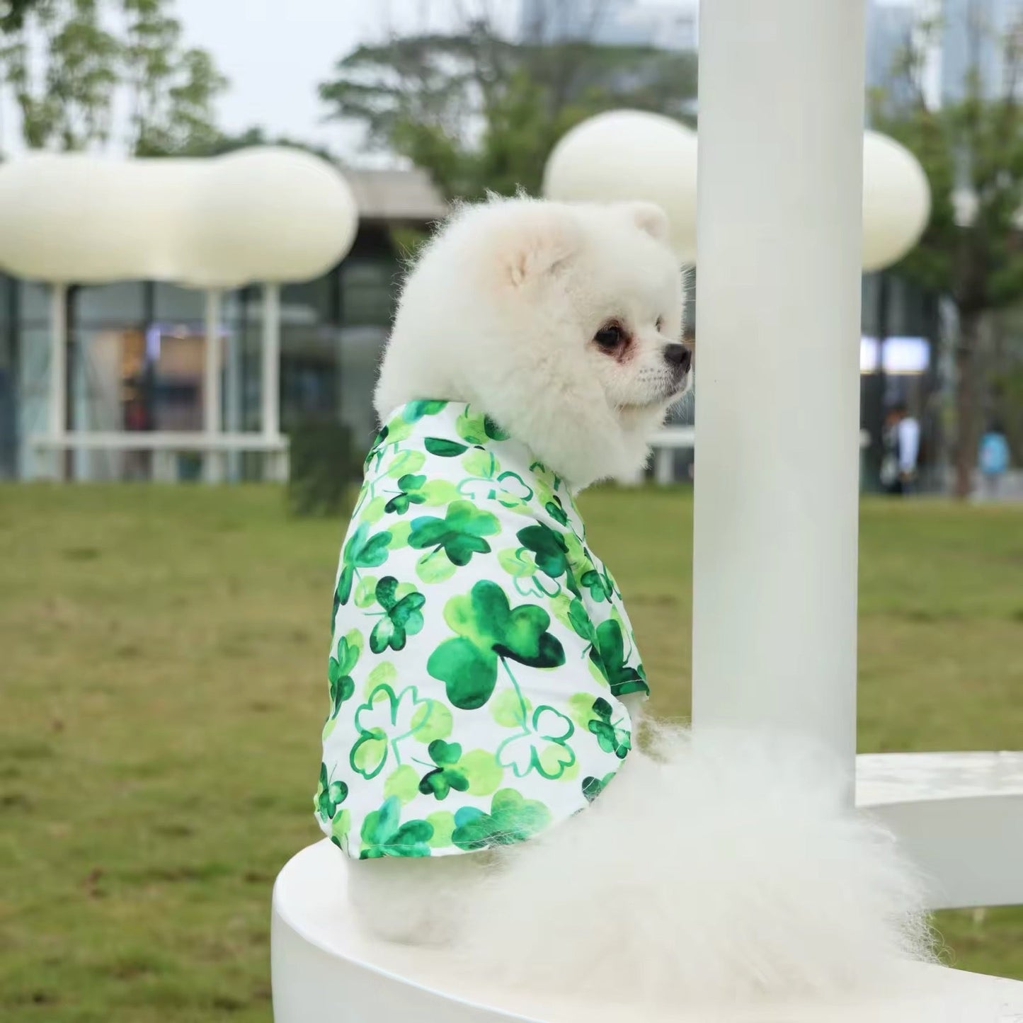 Saint Patrick's Day Dog Shirt - Adorable Festive Holiday Pet Tee for Your Furry Friend - Shopthatapp.ca
