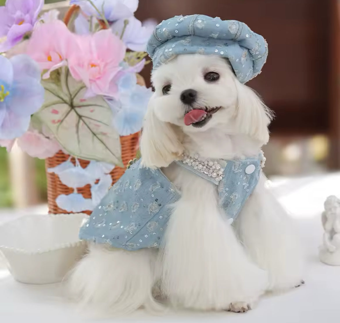 Cinderella Dog Dress Set - Luxury Fantasy Outfit with Hat for Dogs - Shopthatapp.ca
