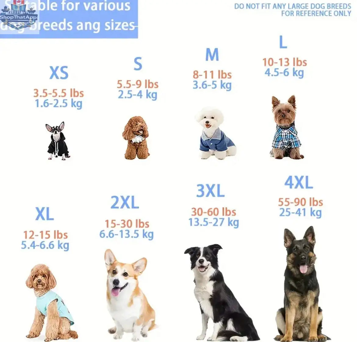 Lucky Heart Tee – Saint Patrick’s Day Dog Tee - Shopthatapp.ca