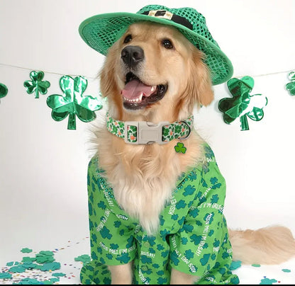 Saint Patrick's Day Dog Collar – Luxurious and Festive Collar for Your Pup - Shopthatapp.ca