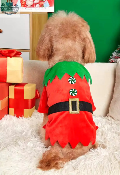 Elf Christmas Outfit for Dogs - Festive Holiday Costume for Your Furry Friend - Shopthatapp.ca
