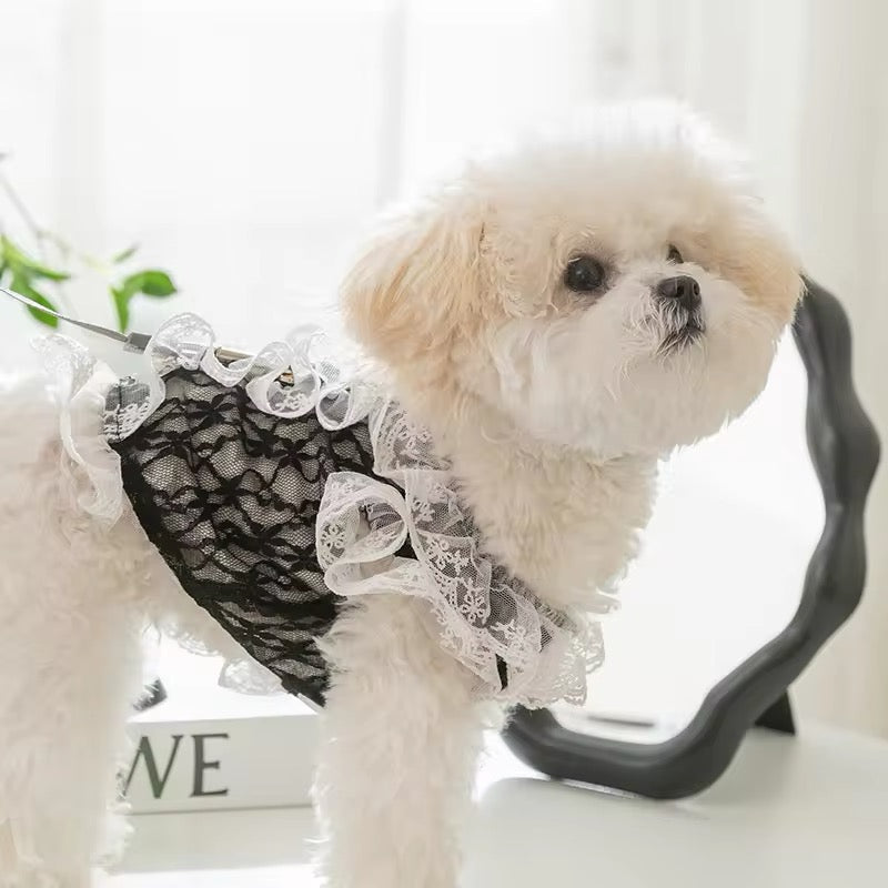 Sabrina Dress for Dogs – Elegant Lace Dog Dress - Shopthatapp.ca
