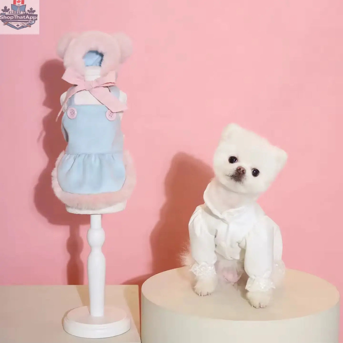 Baby Blue Easter Bunny Outfit – Easter Dog Hat Set - Shopthatapp.ca