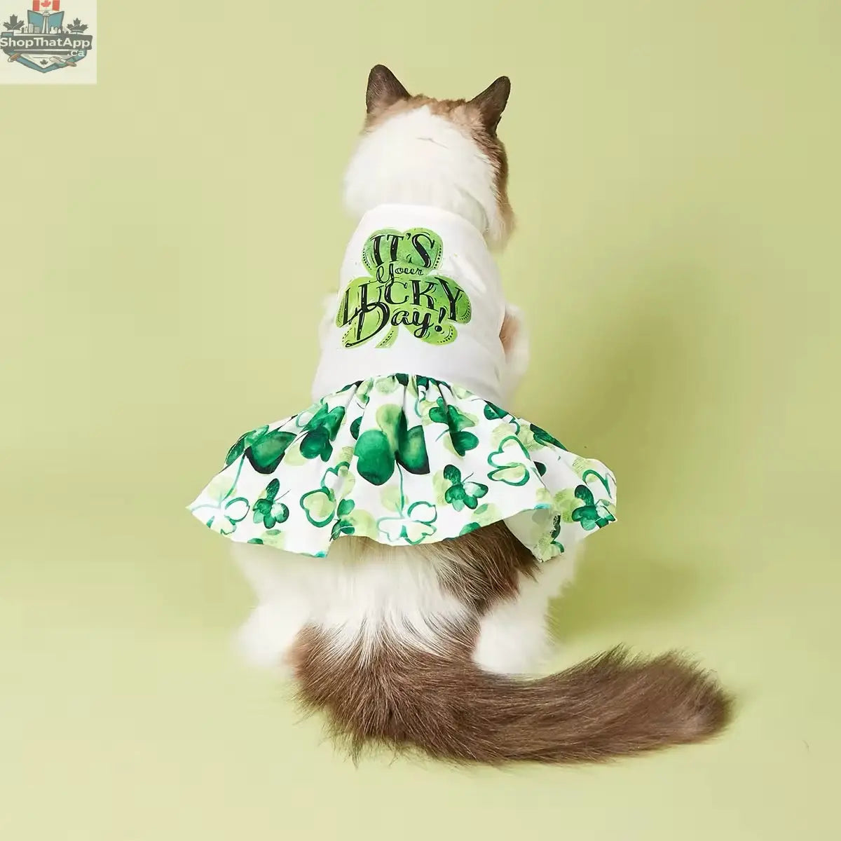 It’s Your Lucky Day Dress – Charming Saint Patrick's Day Dog Dress - Shopthatapp.ca