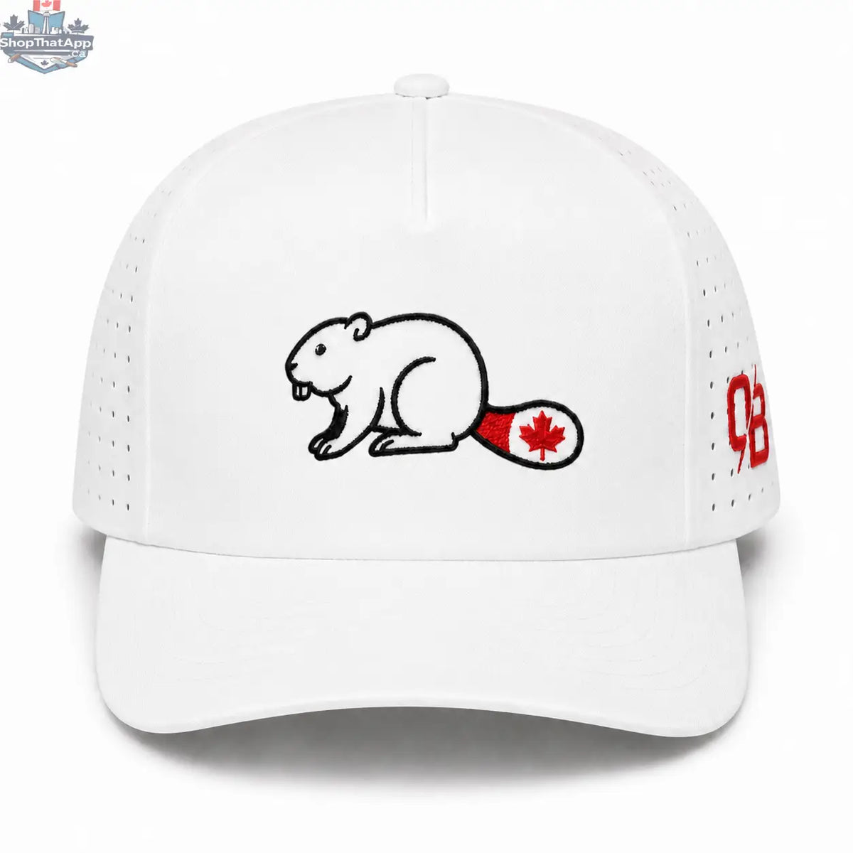 Canuck - Snapback - Shopthatapp.ca