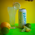 Fancy Sparkling Water – Lemon Lime | Zero Sugar Citrus Sparkling Water - Shopthatapp.ca