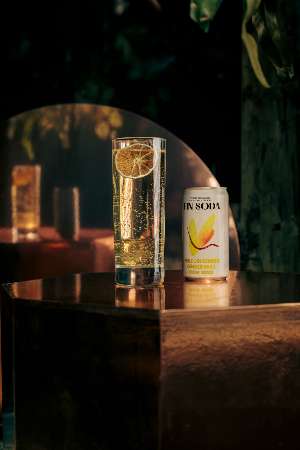 Fin Soda Ginger Mule - Refreshing Ginger Beer Cocktail
