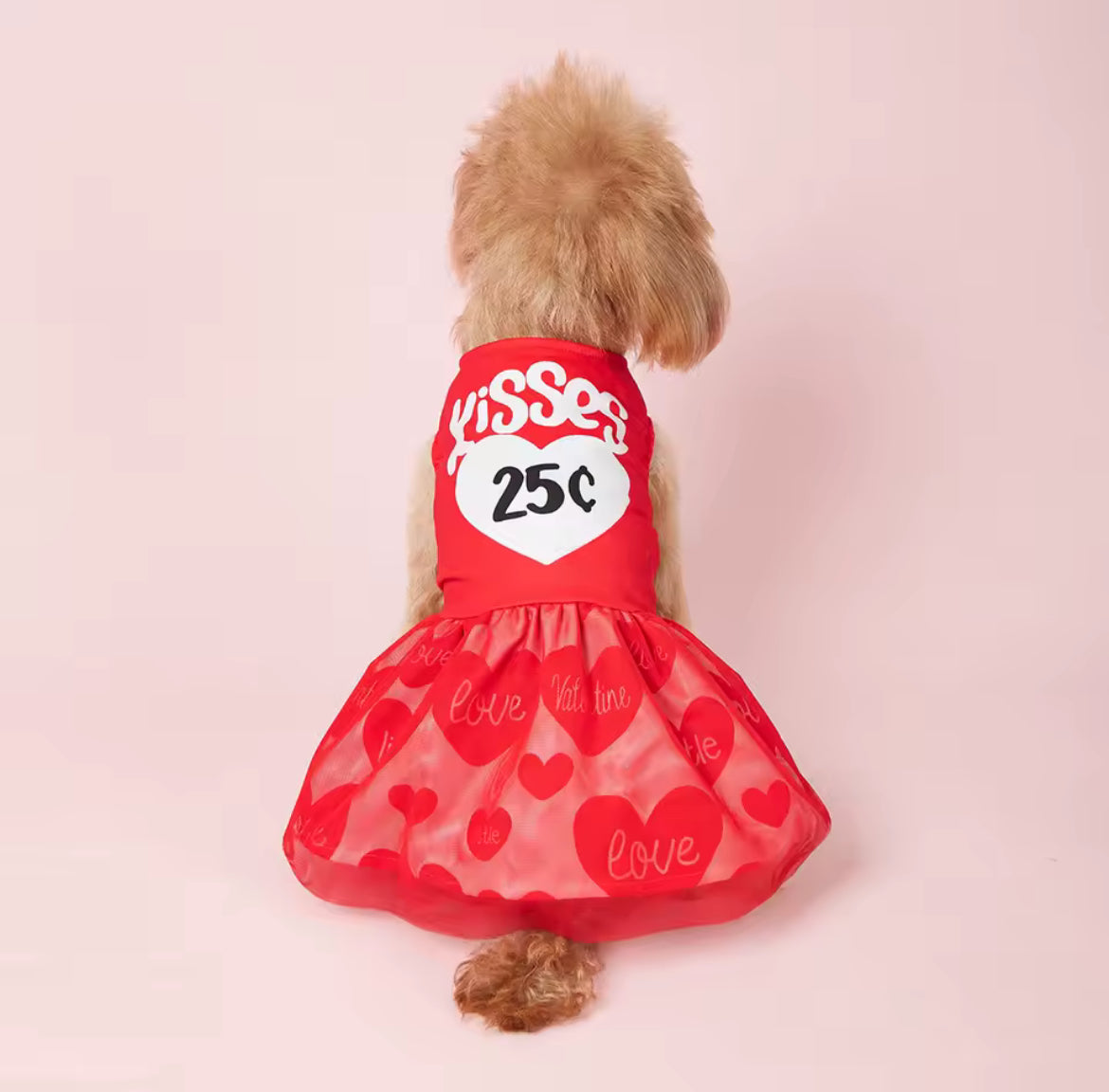 25¢ Kisses Valentine Dog Dress – Red Heart Puppy Outfit - Shopthatapp.ca