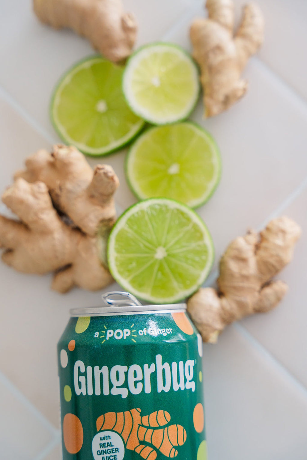 Gingerbug Dry - Ferment Your Own Ginger Soda at Home
