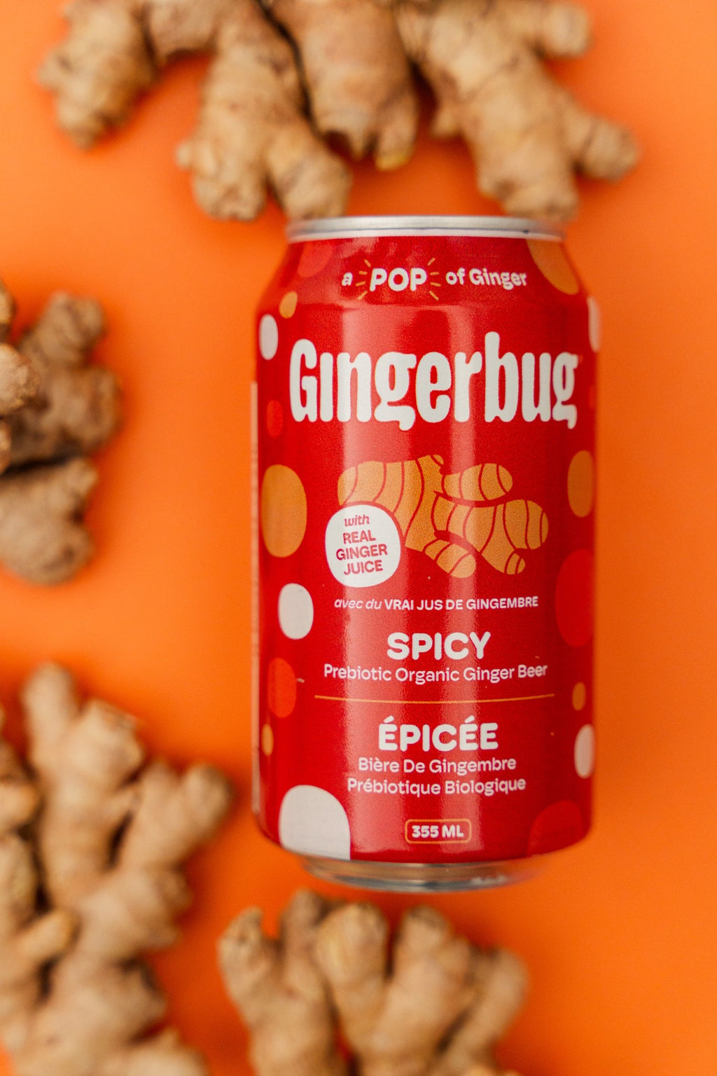 Gingerbug Starter Culture - Spicy Fermented Beverage Starter