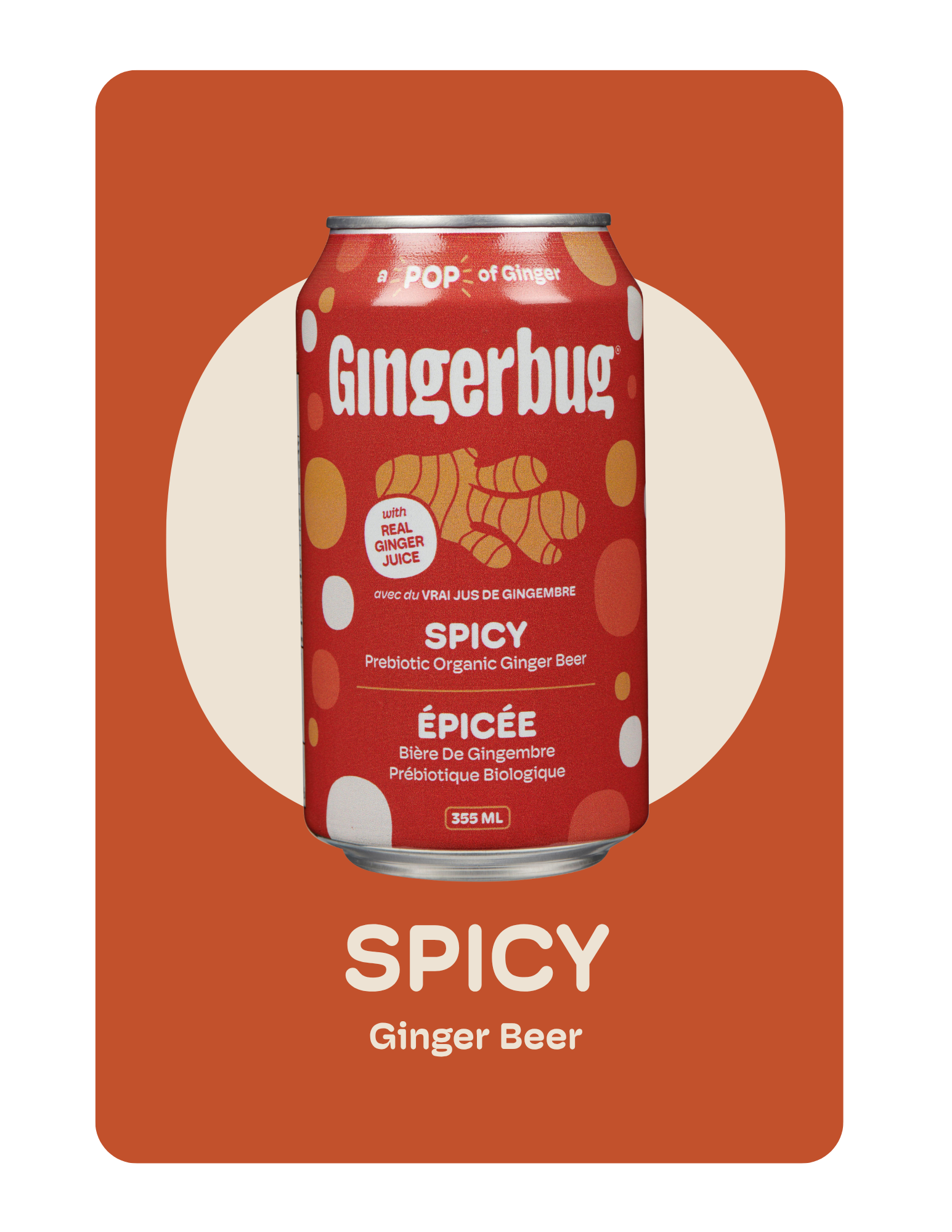 Gingerbug Starter Culture - Spicy Fermented Beverage Starter