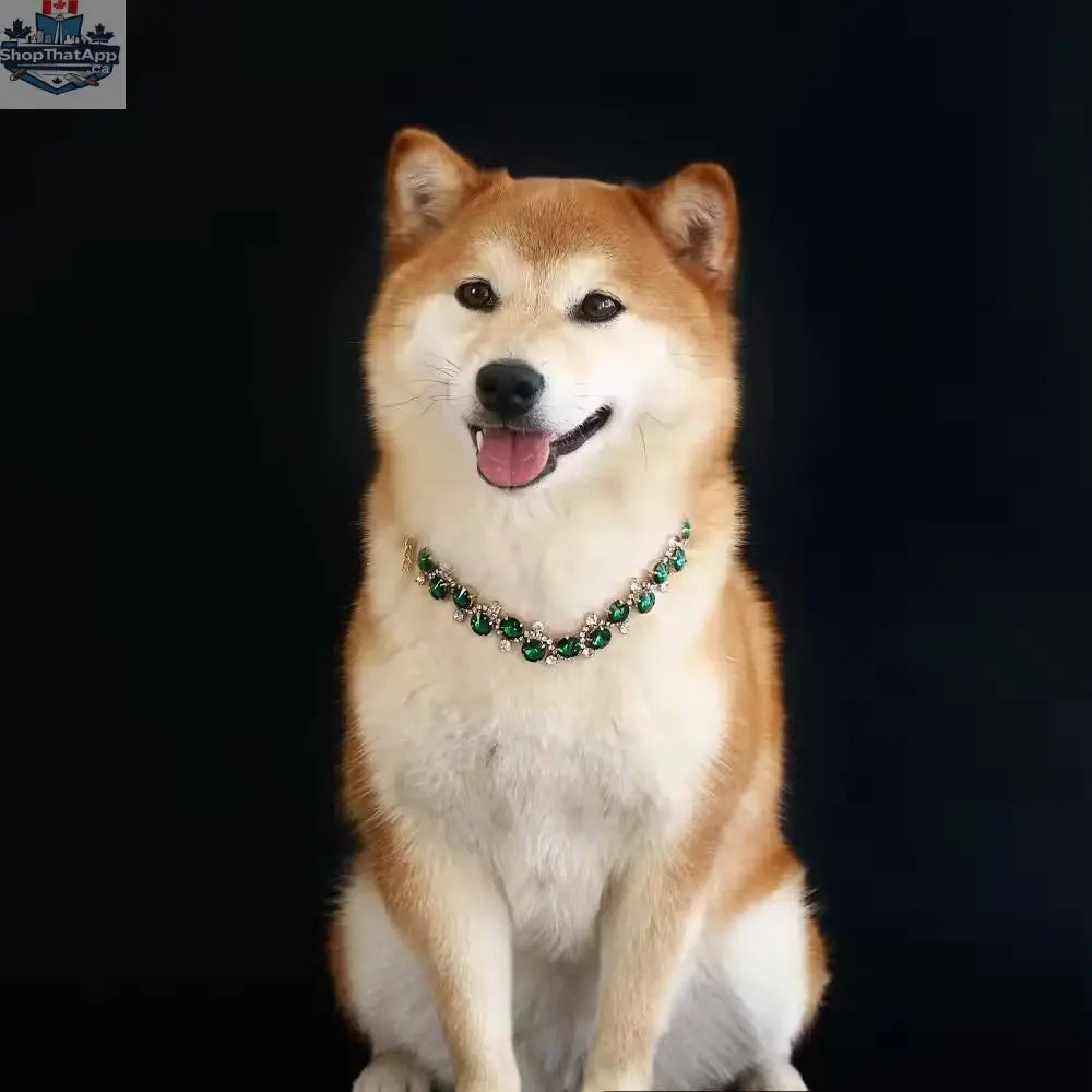 Emerald Dog Necklace – Luxury Rhinestone Pet Necklace - Shopthatapp.ca