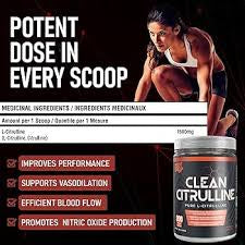 VNDL Project Pure L-Citrulline - Www.Shopthatapp.ca