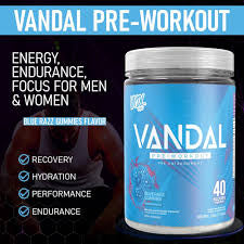 VNDL Project Vandal Pre-Workout - Www.Shopthatapp.ca