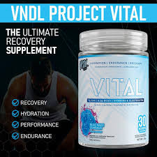 VNDL Project Vital - Endurance, Recovery & Hydration - Www.Shopthatapp.ca